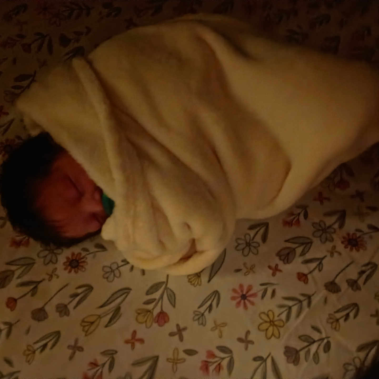 Rumi joined the competition — help win amazing prizes! newborn, baby, sleeping, swaddled, blanket, floral, bedspread, bed, portrait, face, closed_eyes, indoors, cozy, resting, infant, textile, pattern, warm_lighting, peaceful, nap