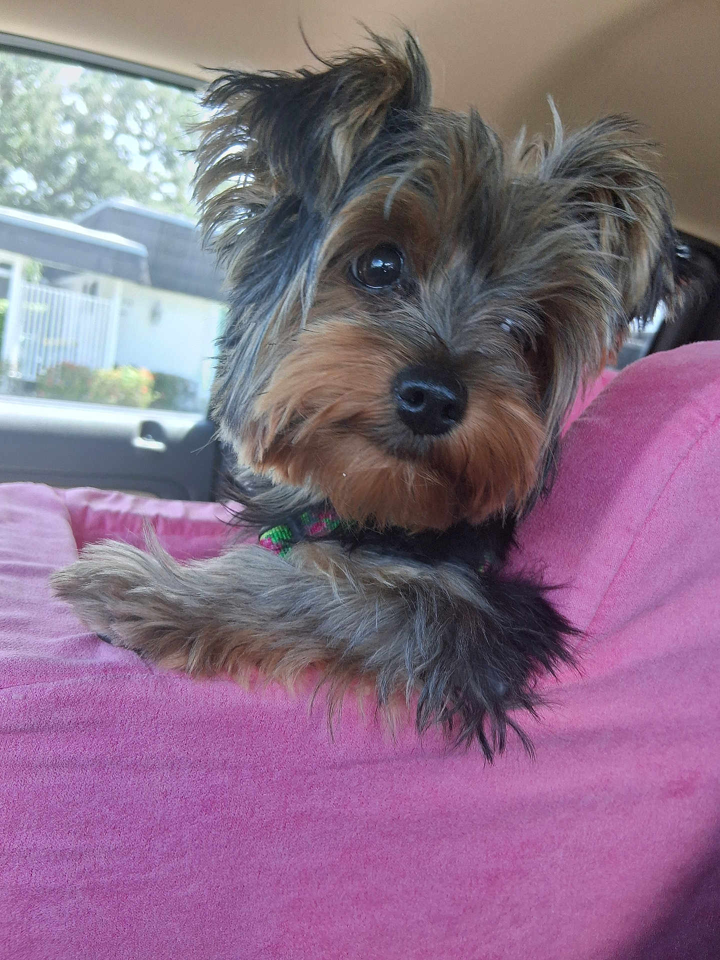 Kaia