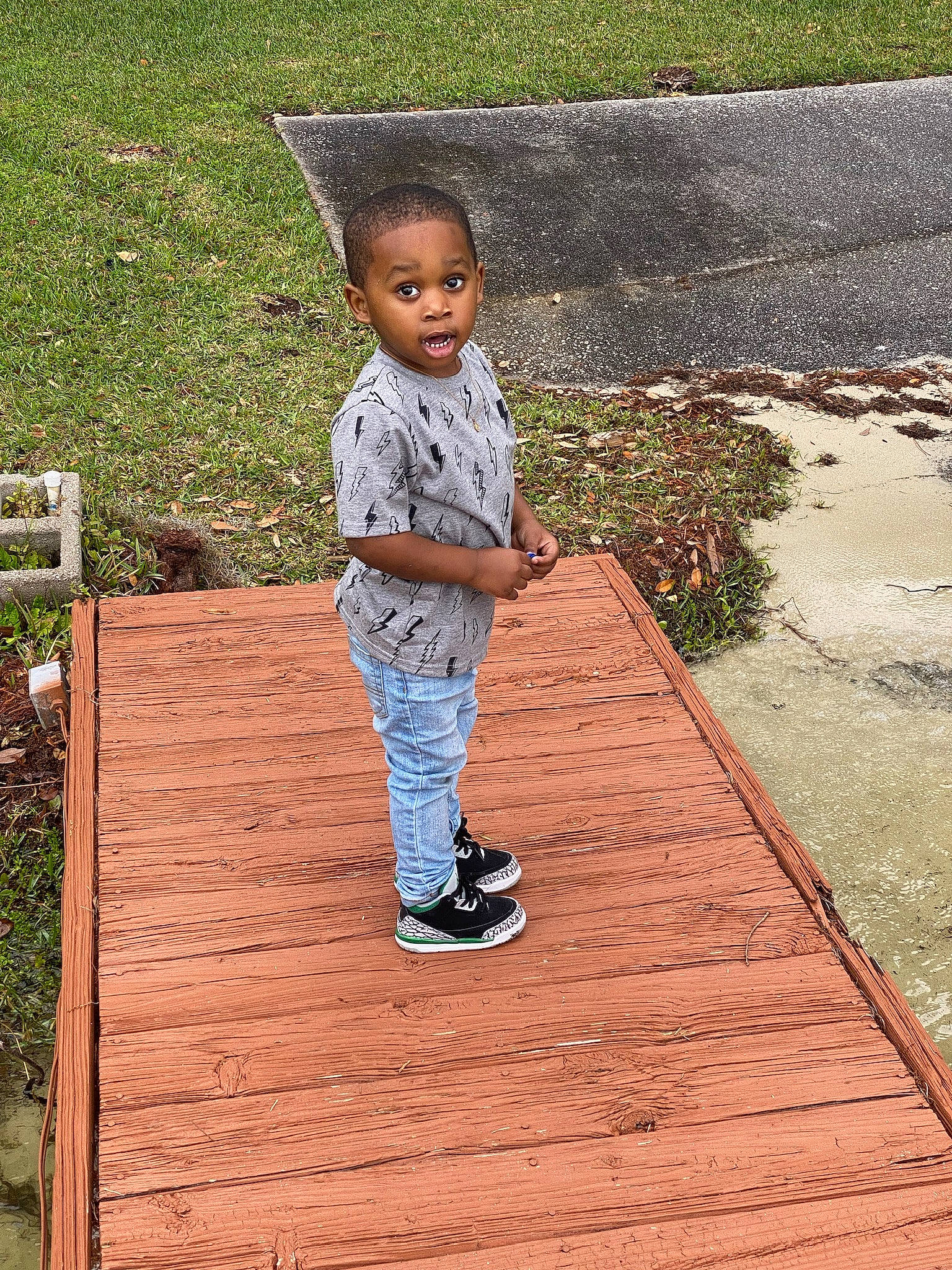 Braylon joined the competition — help win amazing prizes! asphalt, baby_toddler_clothing, beauty, child, flooring, grass, happy, hardwood, leaf, leisure, morning, outdoor_shoe, people_in_nature, person, plant, road_surface, sidewalk, sitting, surprise, toddler