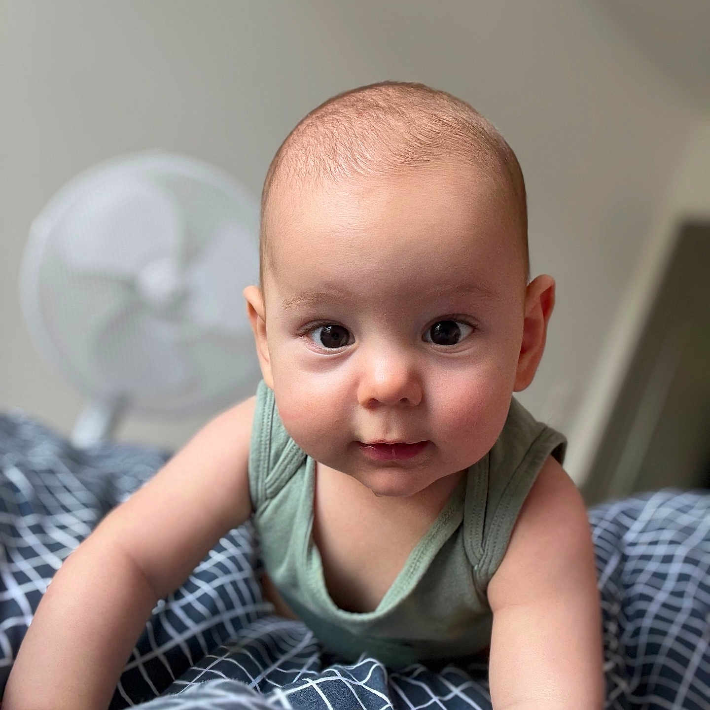 Ayden a rejoint le concours — aidez-le/la à gagner de superbes lots ! arms, baby, background_blur, bed, blanket, checkered, child, closeup, crawling, curious, expression, eyes, face, fan, green_clothing, head, indoor, infant, person, skin