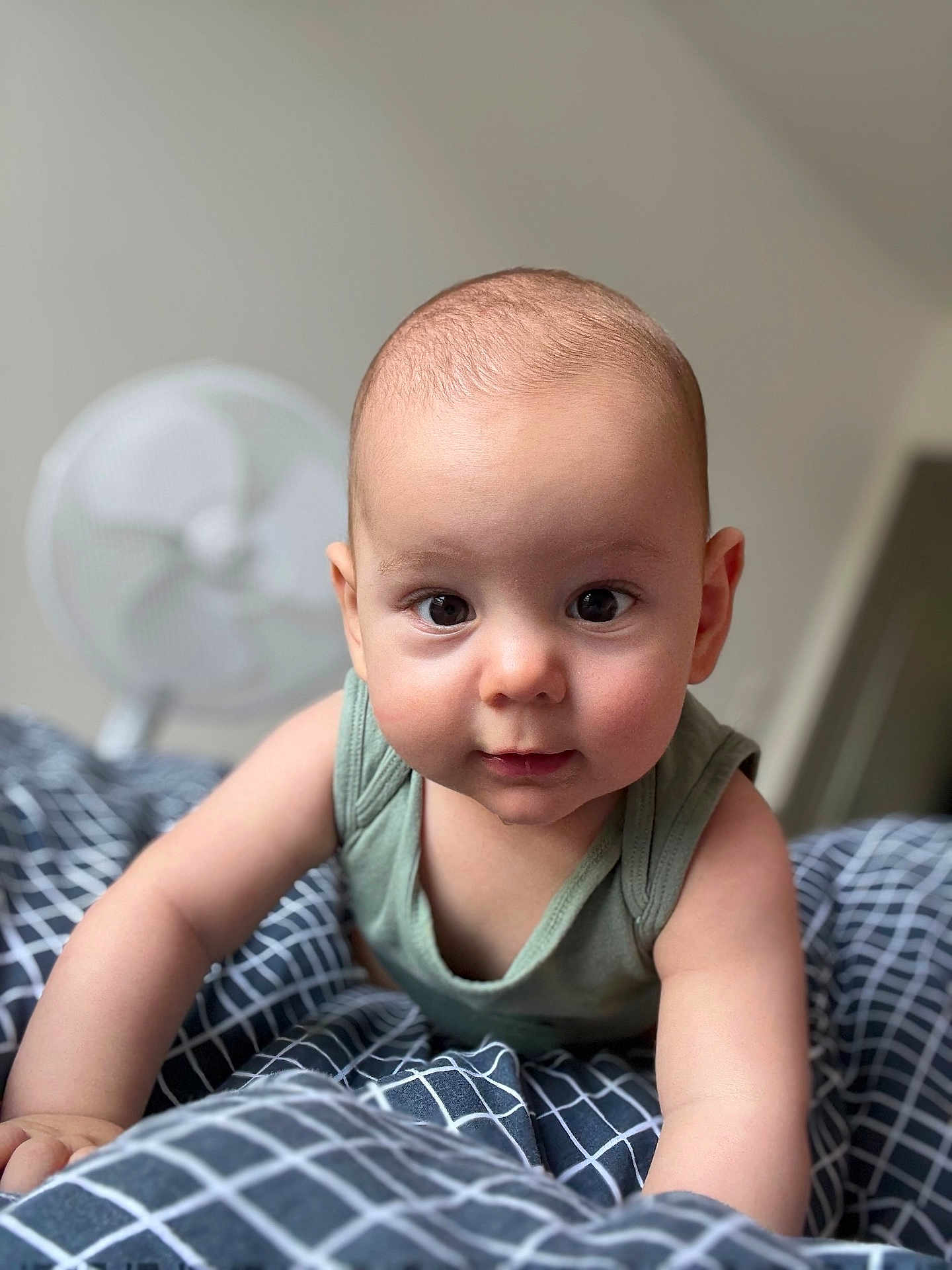 Ayden a rejoint le concours — aidez-le/la à gagner de superbes lots ! baby, child, infant, crawling, bed, blanket, checkered, green_clothing, face, eyes, arms, skin, indoor, fan, background_blur, curious, closeup, person, head, expression