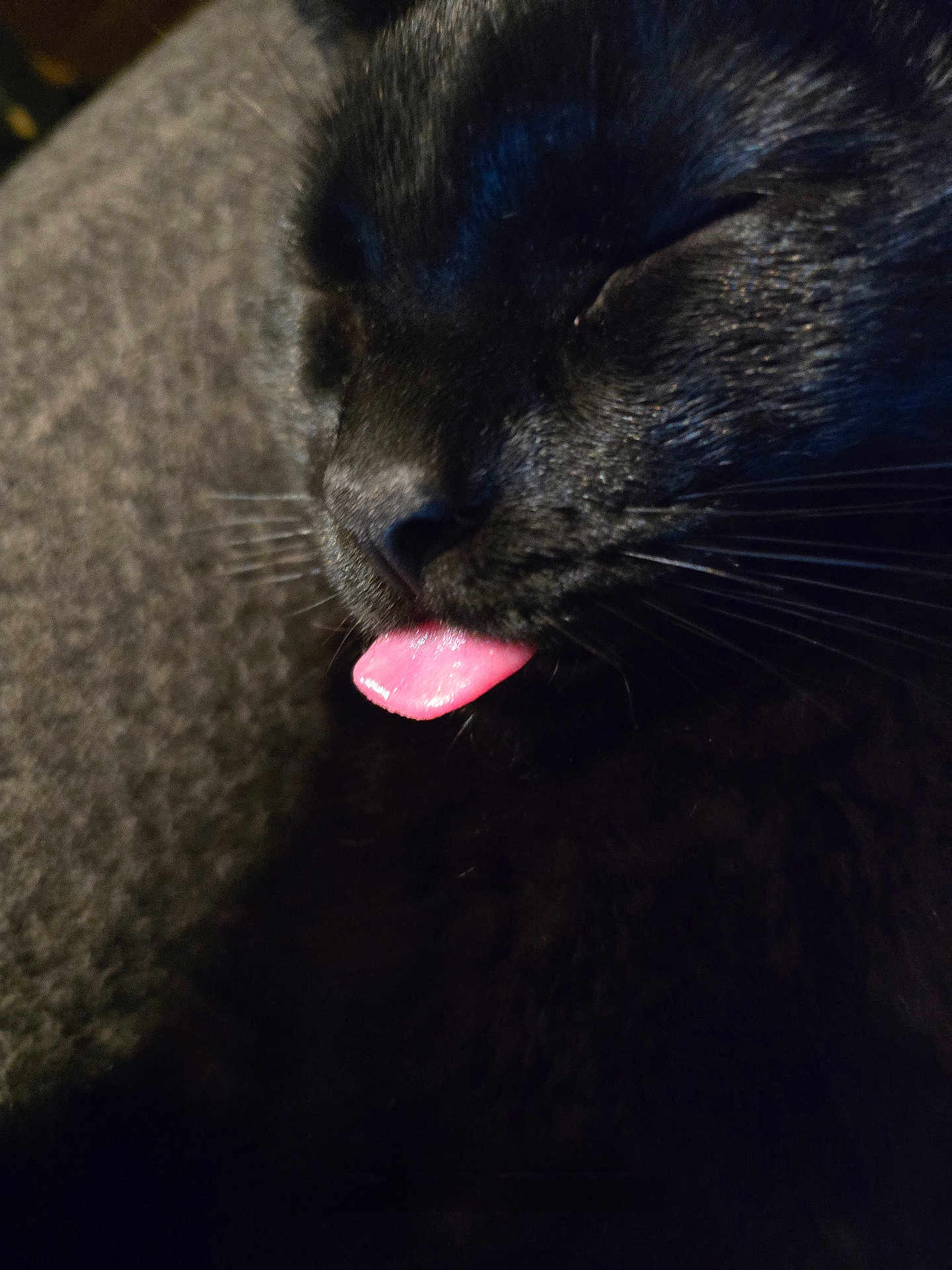 Salem