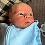 Elijah is registered to the contest to win money with this photo: baby, blanket, blue, checkered_pattern, closeup, comfort, couch, eyes, fabric, face, head, indoors, infant, newborn, person, pillow, resting, skin, swaddle, young_child