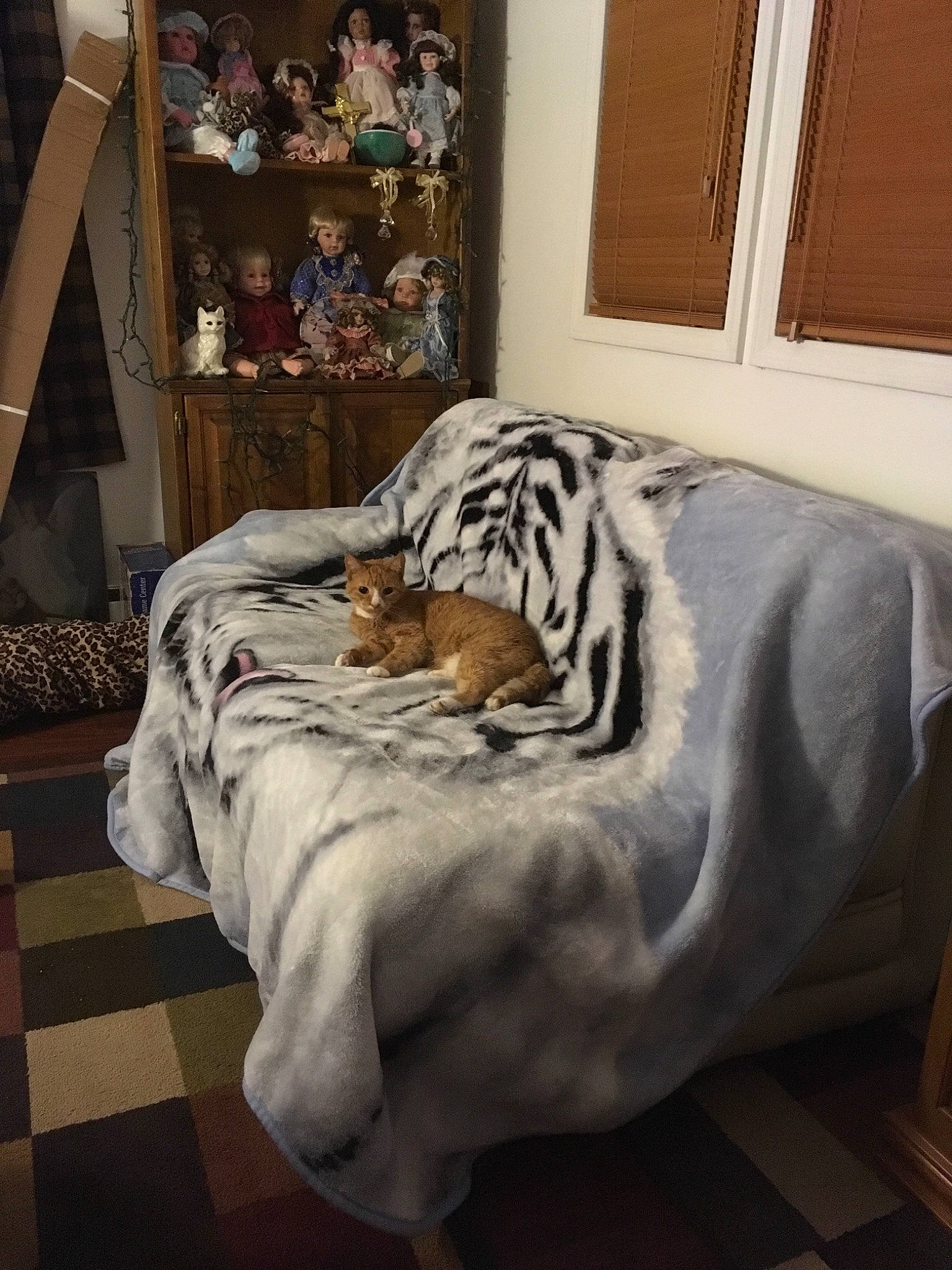 Sunny Bear is registered to the contest to win money with this photo: bed, bengal, carnivoran, cat, cat_like_mammal, flooring, fur, furniture, mammal, person, room, textile, vertebrate, whiskers