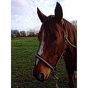 Magic Opera a rejoint le concours — aidez-le/la à gagner de superbes lots !