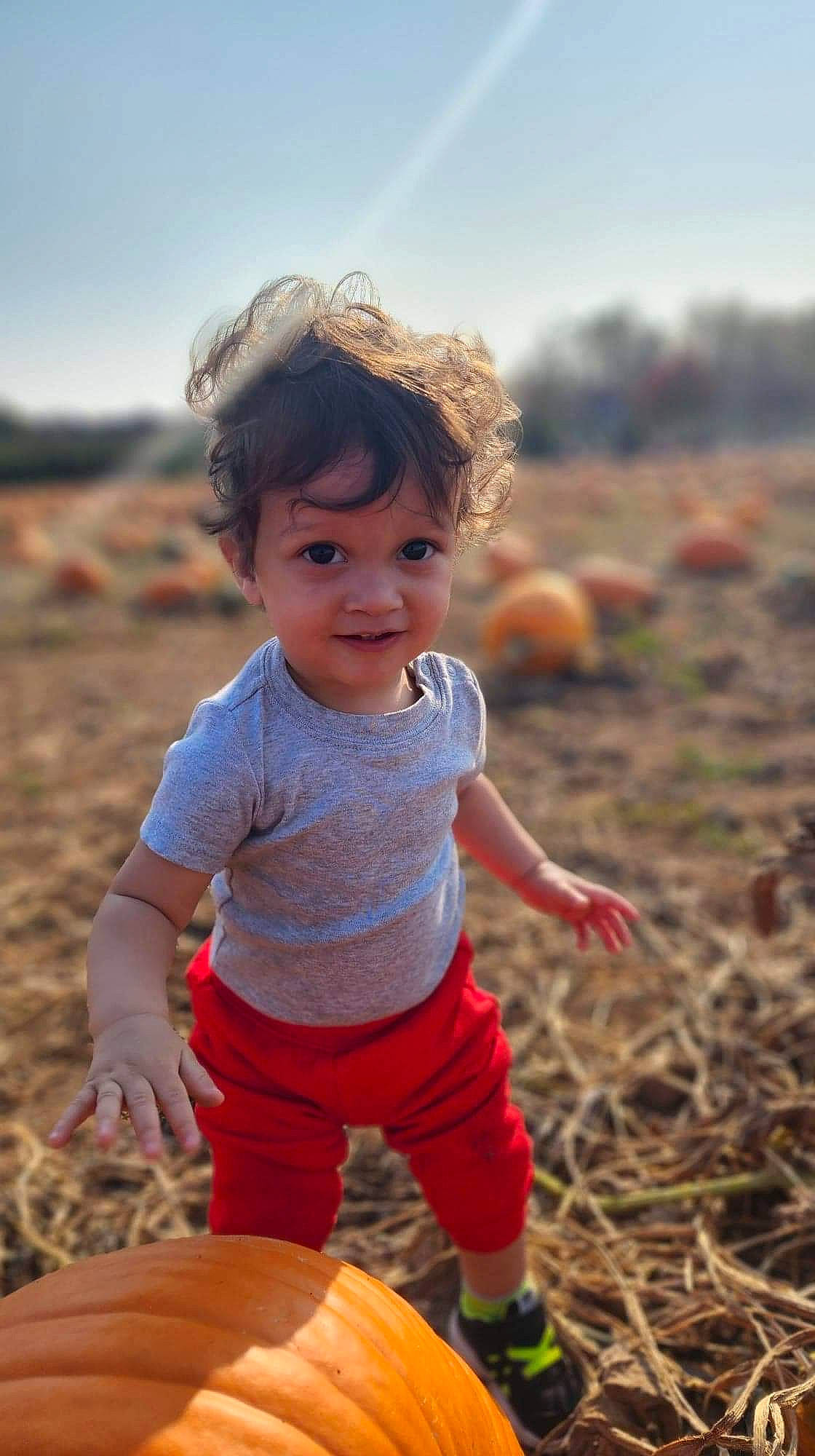 Kyrie joined the competition — help win amazing prizes! baby, baby_toddler_clothing, child, flash_photography, fun, grass, grassland, happy, landscape, people_in_nature, person, prairie, sand, shorts, sitting, sky, smile, soil, sunlight, t_shirt