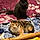 Speckles And Ozzy