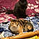 Speckles And Ozzy