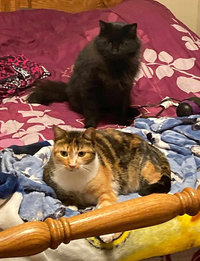 Speckles And Ozzy