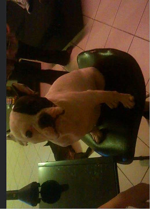 Gypsie participe au concours pour gagner de l'argent avec cette photo : art, eyewear, fun, gesture, helmet, nail, personal_protective_equipment, room, square, thumb, toy, visual_arts