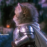 Jupiter joined the competition — help win amazing prizes! animal, armor, blurred_background, cape, cat, chainmail, costume, dramatic_lighting, fantasy, feline, forest, humor, knight, medieval, outdoors, portrait, profile, sword, warrior, woodland