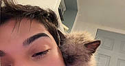 Jupiter joined the competition — help win amazing prizes! bedroom, blanket, cat, close_up, companion, cozy, cuddling, face, fluffy, home, indoors, nap, person, pet, portrait, red_blanket, relaxed, selfie, sleeping, sleepy