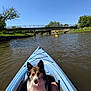adventure, animal, blue_sky, bridge, calm, canal, dog, greenery, kayak, leisure, nature, outdoor, paddling, person, pet, recreation, river, summer, sunny, water