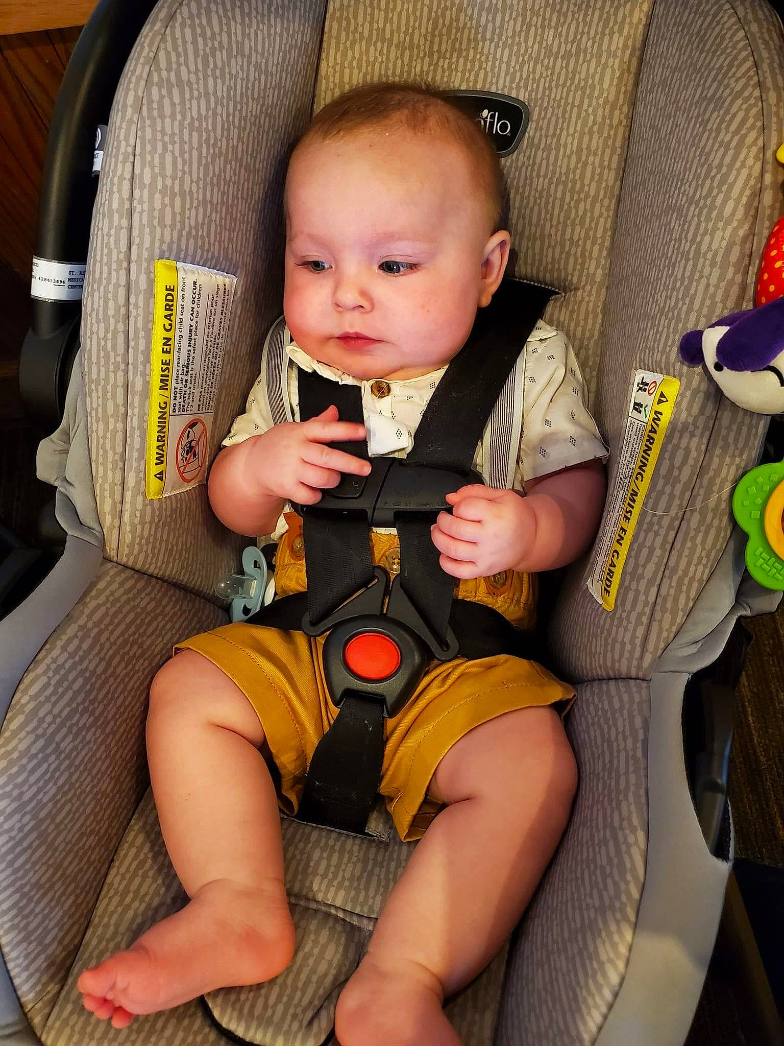 Levi joined the competition — help win amazing prizes! baby, baby_carriage, baby_products, baby_safety, baby_toddler_clothing, car_seat, chair, cheek, child, comfort, eye, finger, knee, lap, leg, person, seat_belt, skin, thigh, toddler