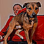 dog, person, couch, red_hoodie, brown_dog, smartphone, indoor, relaxing, furniture, pet, happy, casual, seated, black_surface, smiling, companion, leash, paw, portrait, home