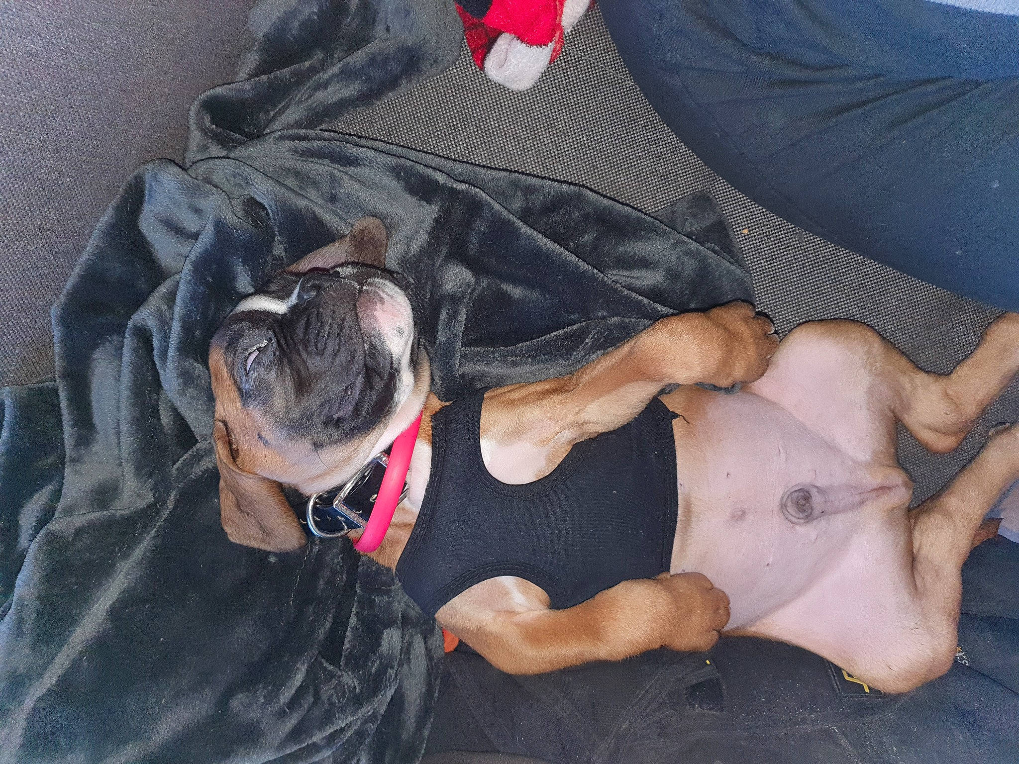 Daryl Dreek Djezy participe au concours pour gagner de l'argent avec cette photo : abdomen, chest, comfort, denim, elbow, flesh, gesture, grey, human_leg, joint, knee, leg, shorts, sitting, sleeve, t_shirt, thigh, trunk, vest, wrist