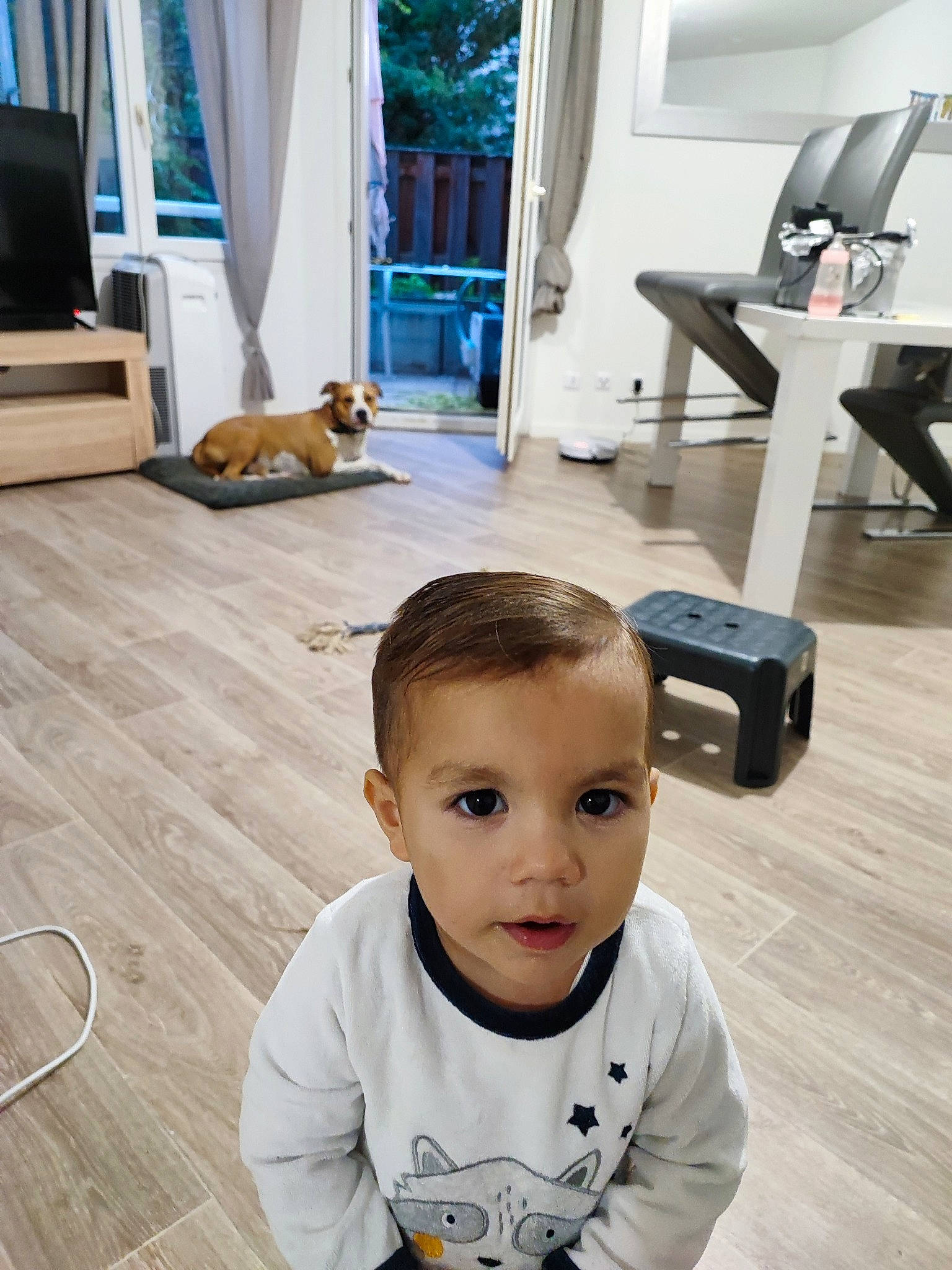 Malone participe au concours pour gagner de l'argent avec cette photo : black, child, comfort, couch, curtain, floor, flooring, happy, hardwood, interior_design, laminate_flooring, living_room, person, room, t_shirt, table, toddler, white, window, wood