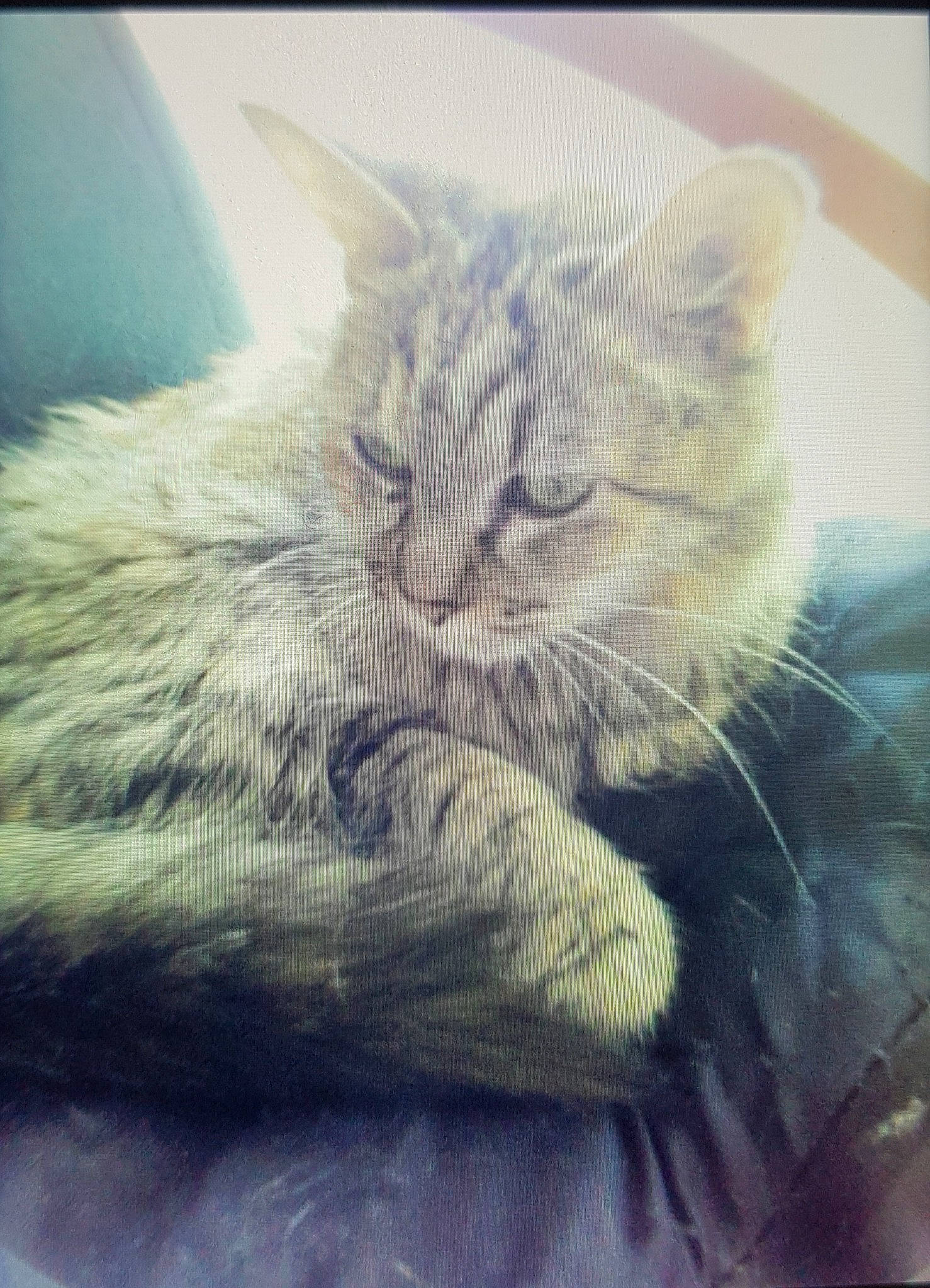 Misty a rejoint le concours — aidez-le/la à gagner de superbes lots !