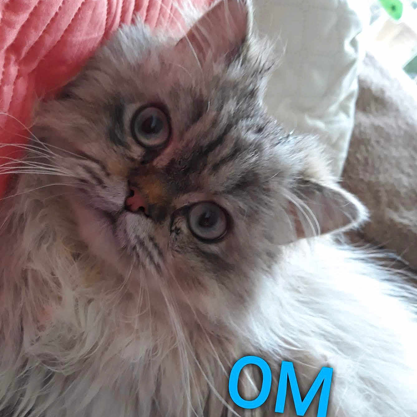 Om