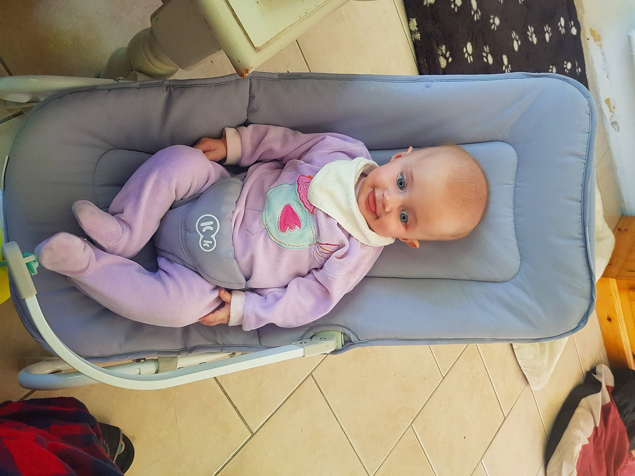 Lola participe au concours pour gagner de l'argent avec cette photo : baby, baby_carriage, baby_products, baby_toddler_clothing, child, comfort, couch, flooring, linens, mammal, nap, person, product, purple, room, sitting, sleep, toddler, tree, vertebrate