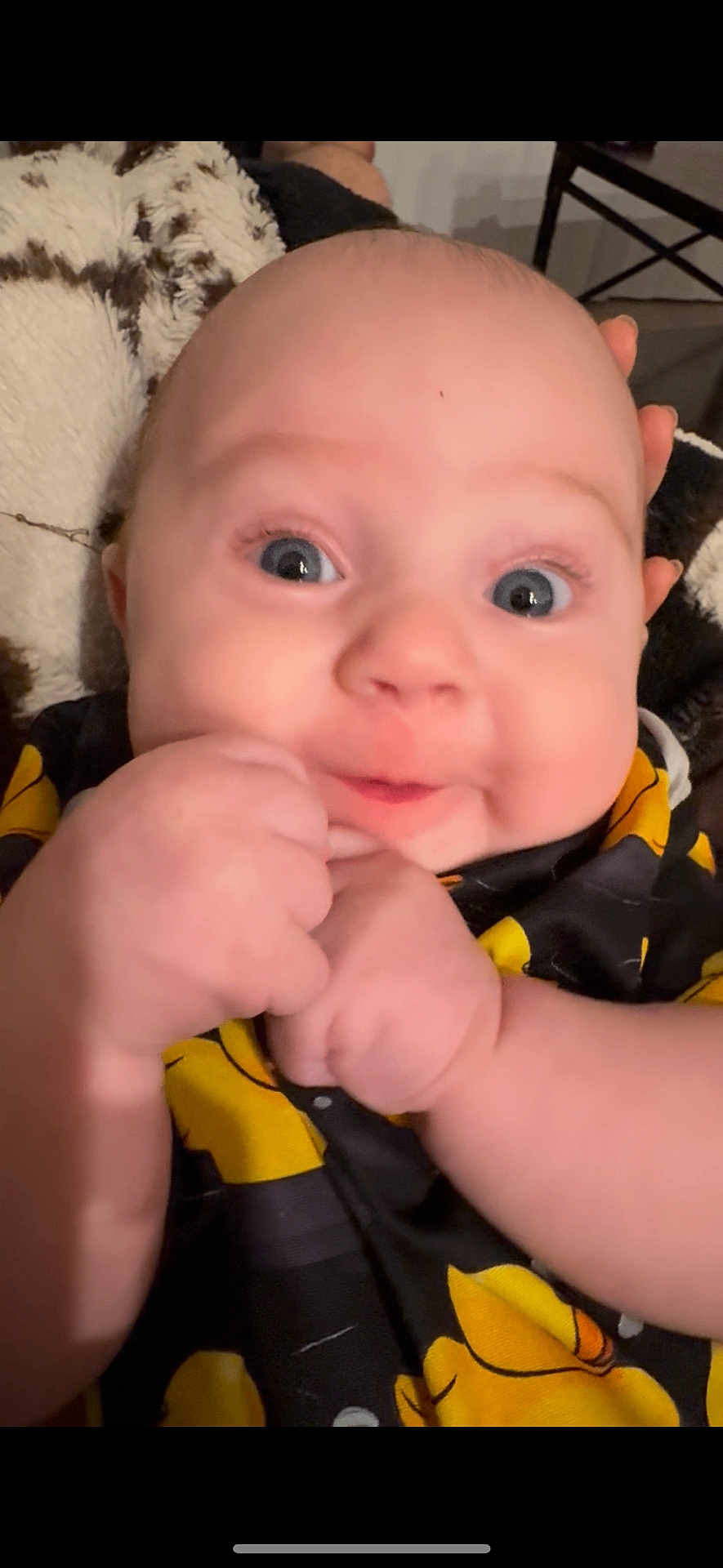 Kingston is registered to the contest to win money with this photo: baby, infant, face, hands, eyes, chubby_cheeks, clothing, black, yellow, blanket, furniture, indoor, portrait, closeup, cute, person, skin, expression, child, newborn