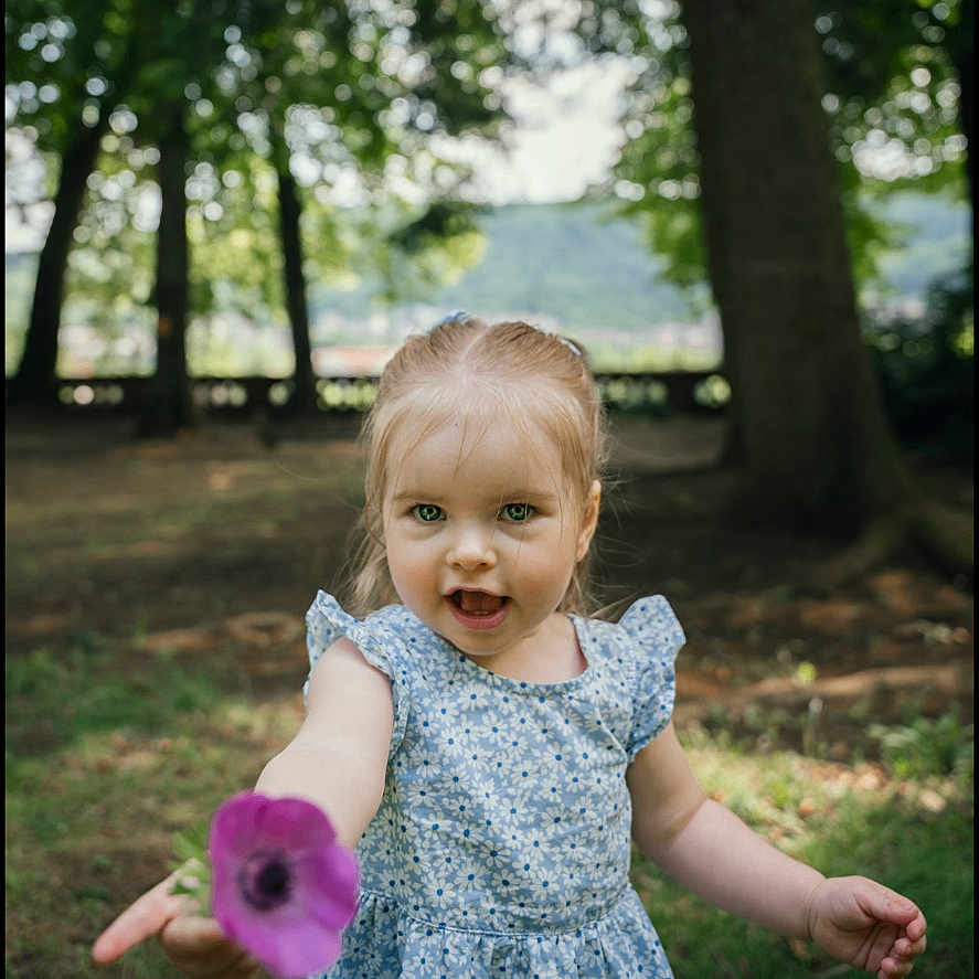 Livia participe au concours pour gagner de l'argent avec cette photo : blue, child, cute, daylight, dress, flower, forest, girl, grass, greenery, hand, happy, nature, offering, outdoor, playful, portrait, smiling, trees, young