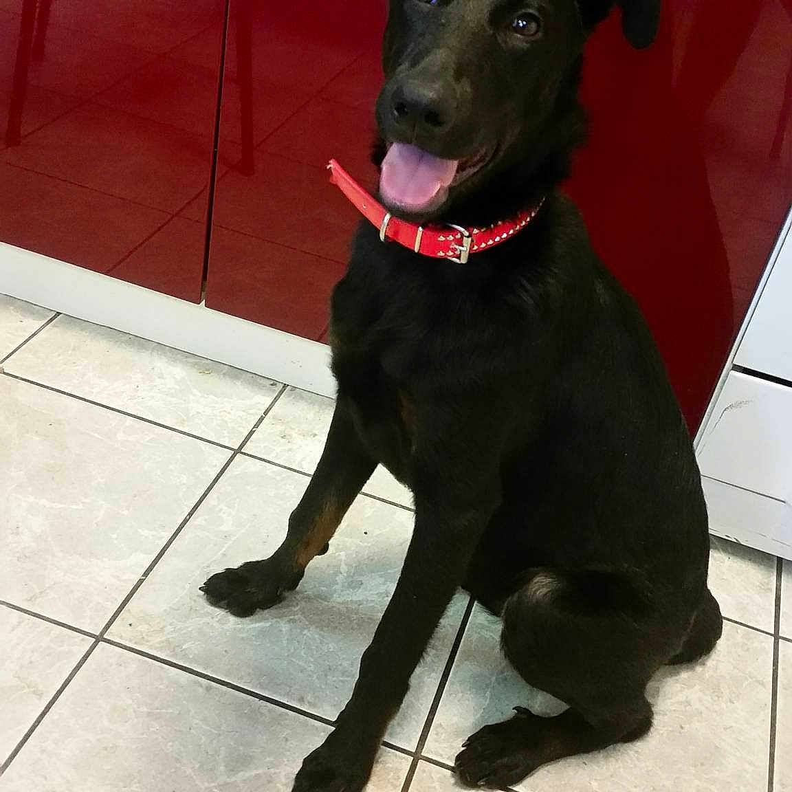 Louna participe au concours pour gagner de l'argent avec cette photo :