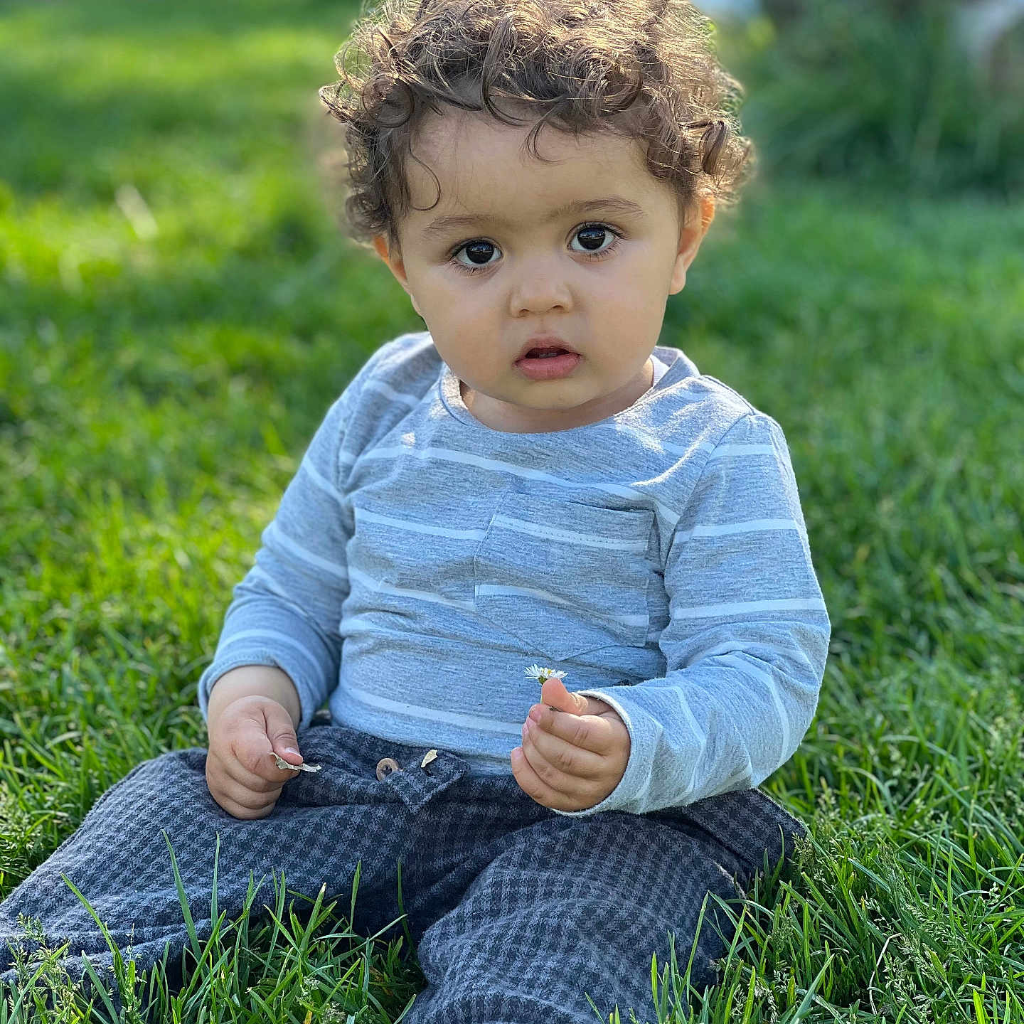 Azzad participe au concours pour gagner de l'argent avec cette photo : barefoot, casual_clothing, child, curly_hair, cute, daylight, flower, grass, greenery, holding, innocent, long_sleeve_shirt, nature, outdoor, pants, park, portrait, sitting, toddler, young_child