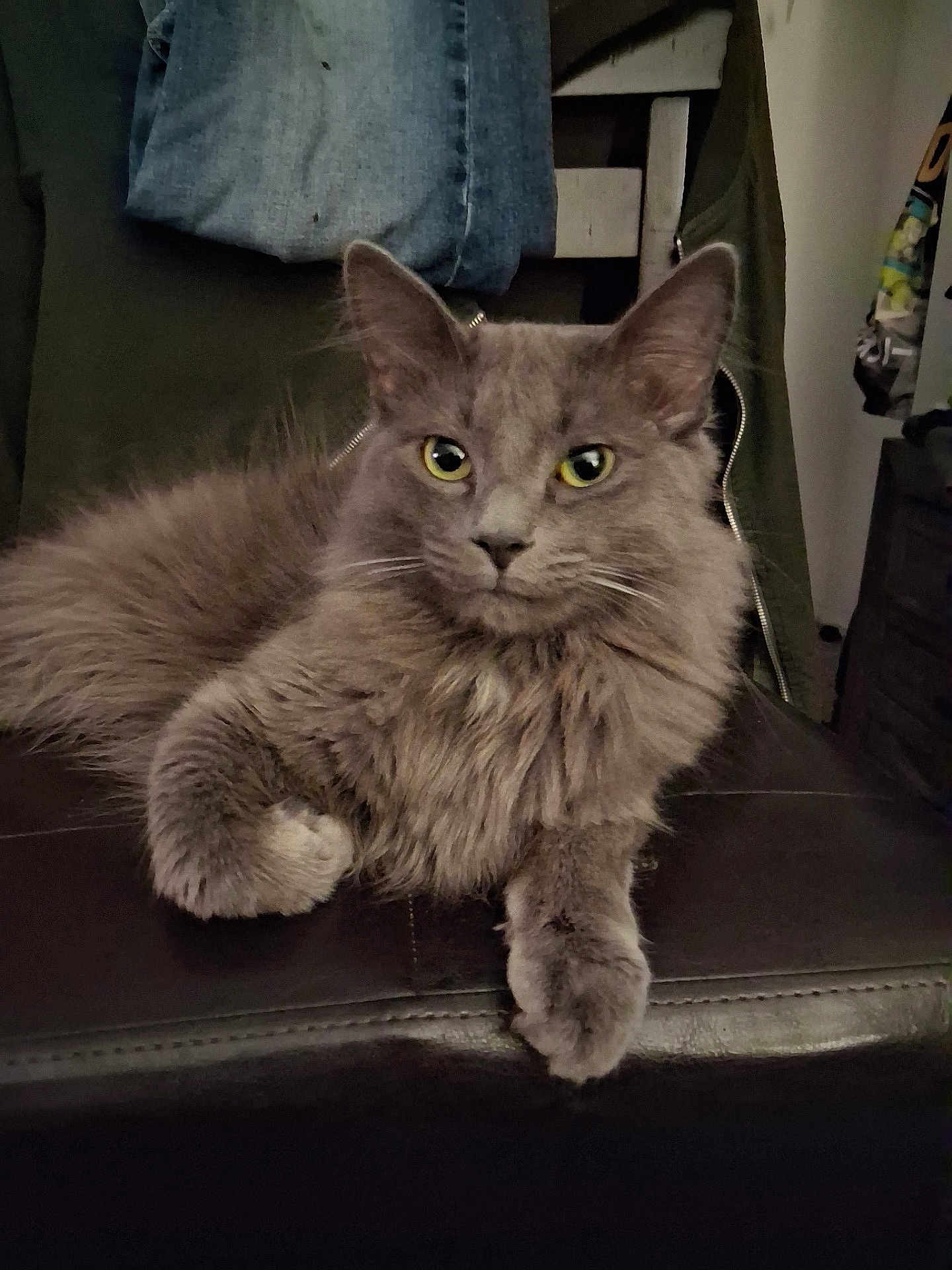 Smokie