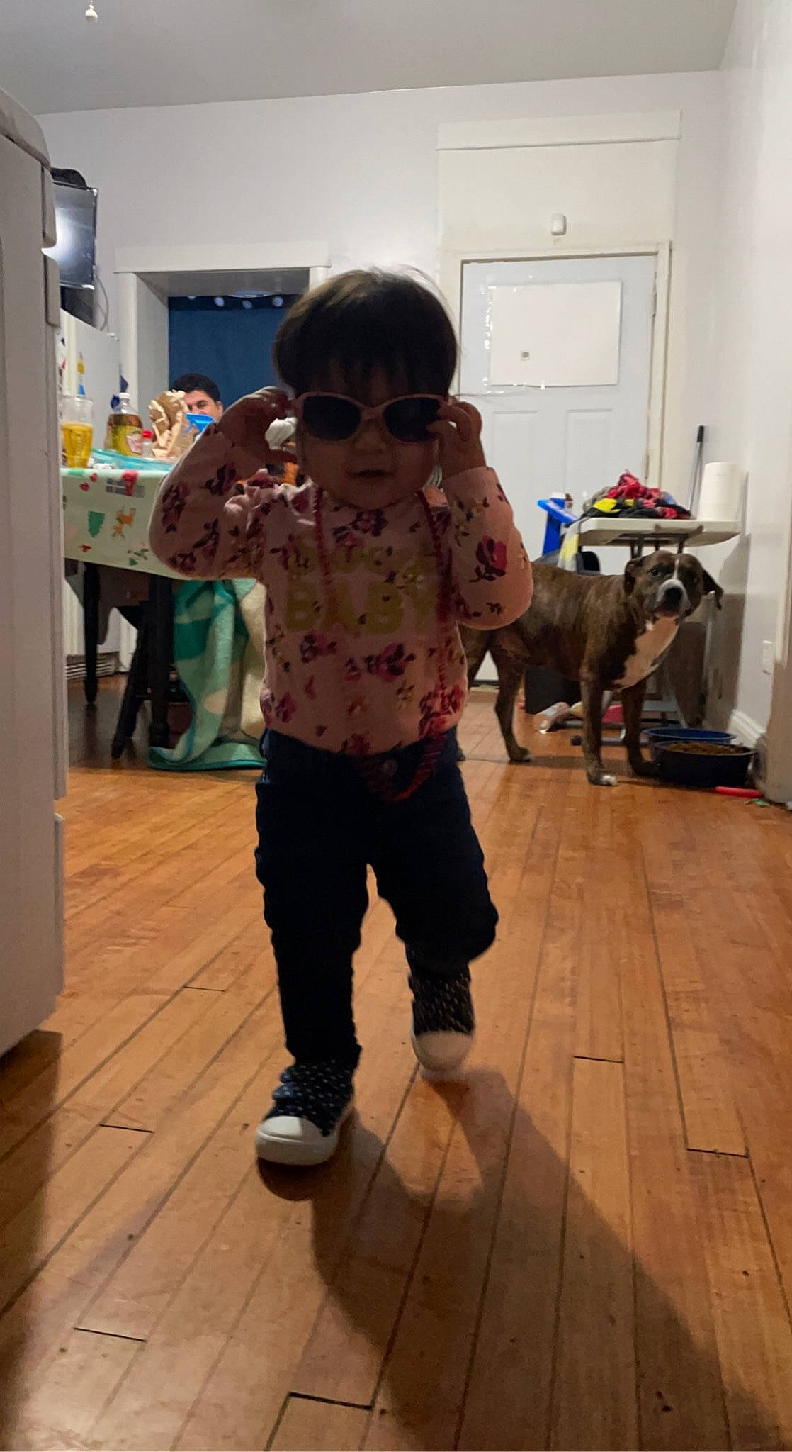 Kensi joined the competition — help win amazing prizes! companion_dog, event, eyewear, floor, flooring, fun, fur, glasses, goggles, hardwood, laminate_flooring, person, room, sleeve, standing, sunglasses, t_shirt, toddler, under_exposed, vision_care