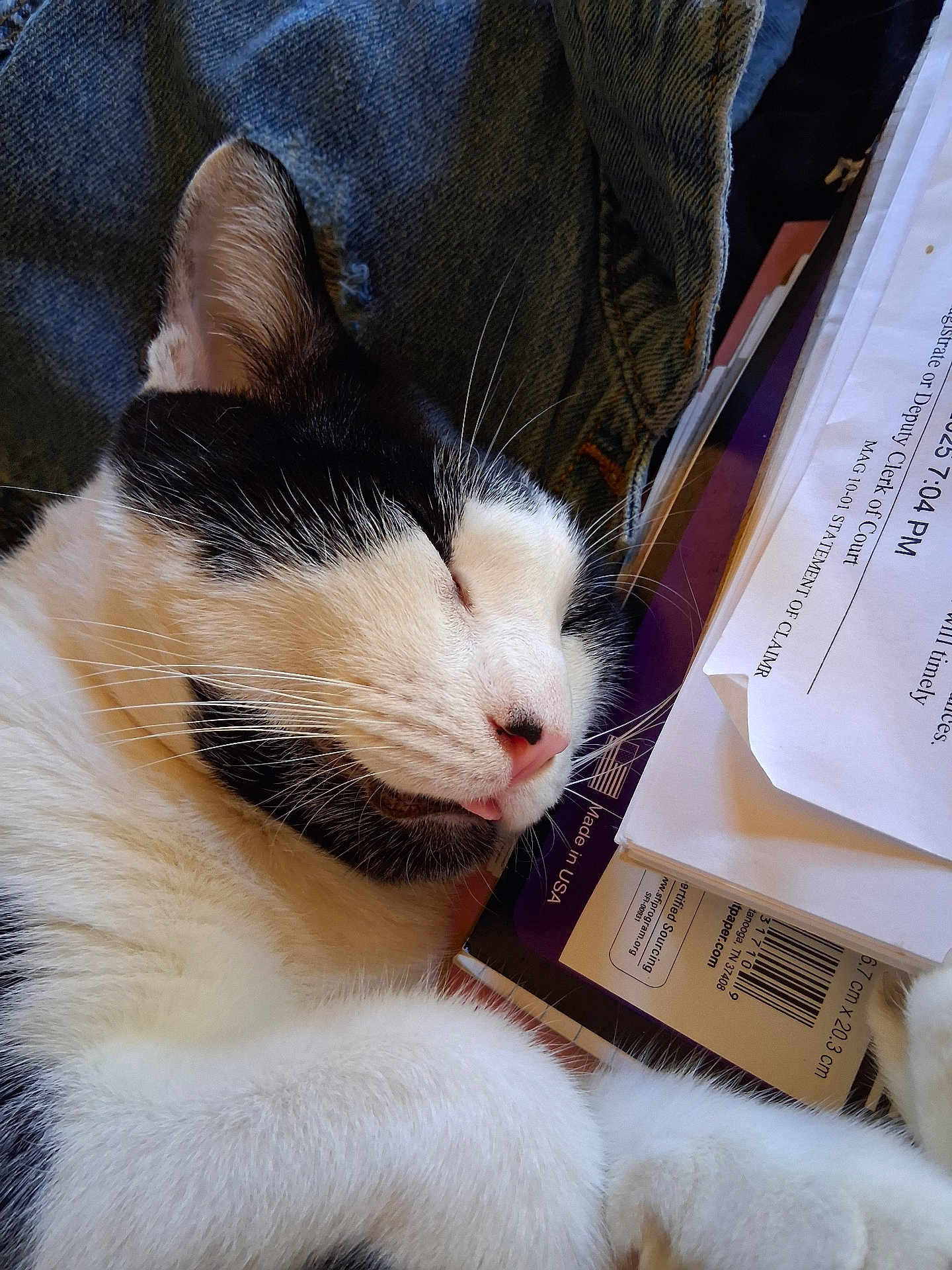 Kane is registered to the contest to win money with this photo: animal, black_and_white, cat, close_up, cute, denim, documents, feline, fur, indoor, nap, paper, pet, pink_nose, relaxed, resting, sleeping, soft, tongue, whiskers