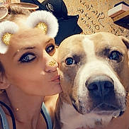 Grey Goose joined the competition — help win amazing prizes! affection, animal, blue_eyes, casual, close_up, dog, face_filter, hand, hat, indoor, koala_ears, koala_nose, lighting, person, pet, portrait, selfie, shelf, wallpaper, woman