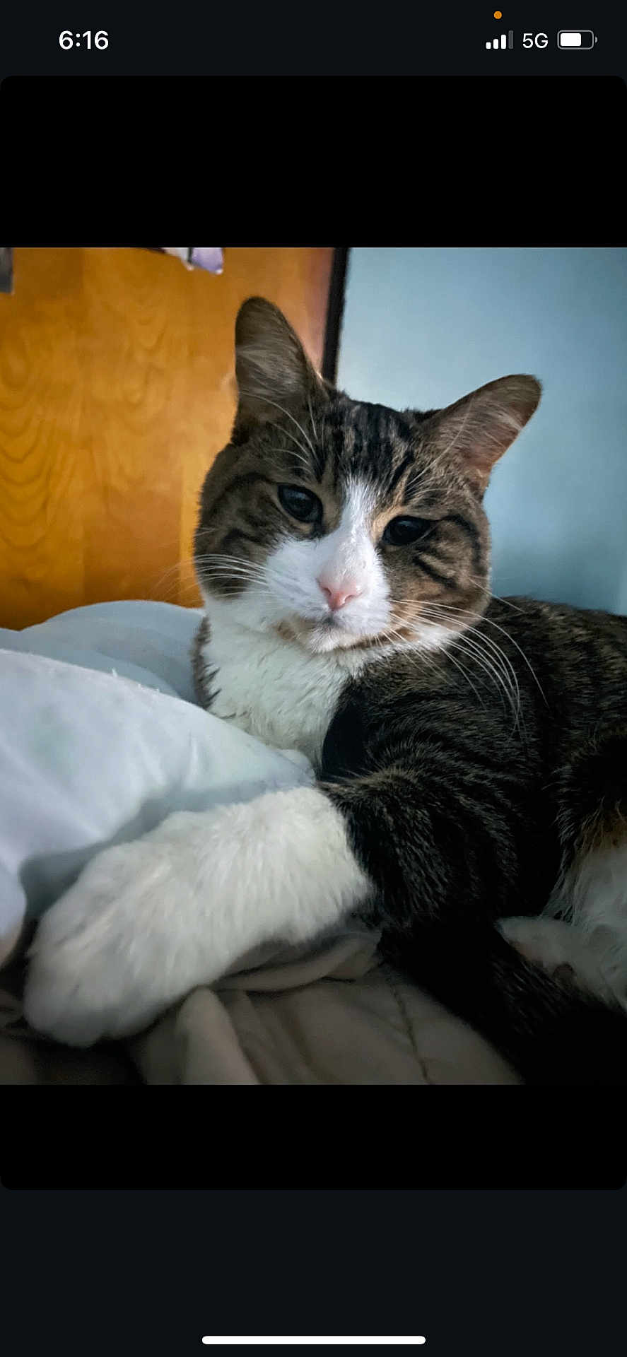 Keanu