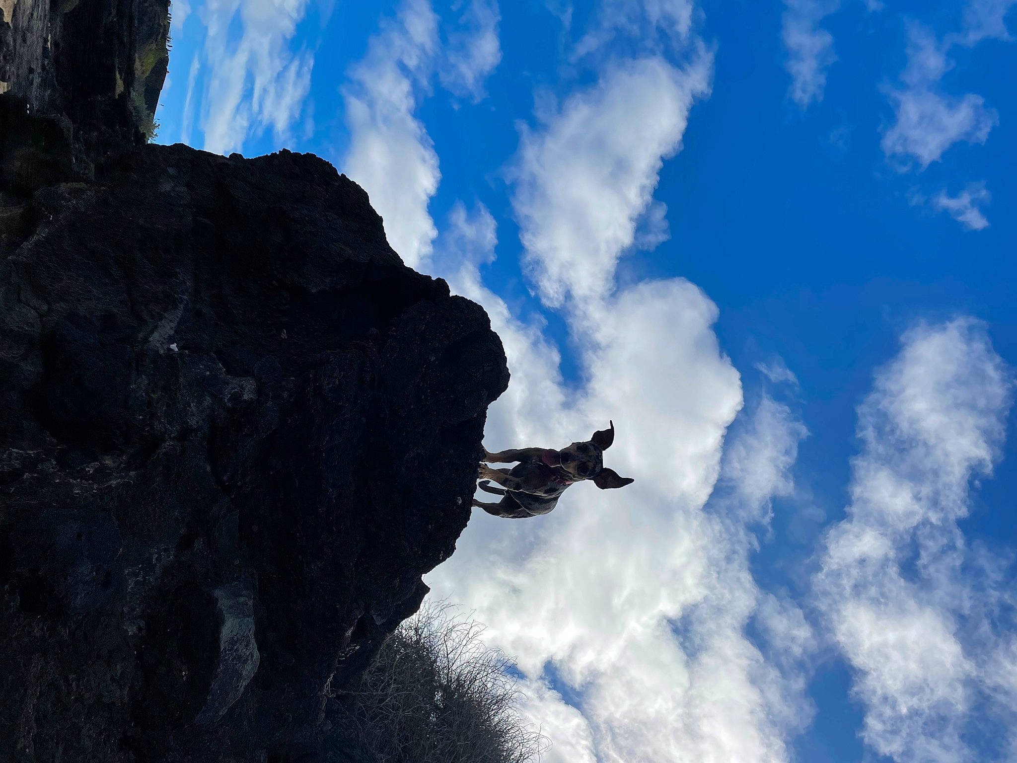 Jiffy is registered to the contest to win money with this photo: adventure, art, azure, bedrock, climbing, cloud, cumulus, electric_blue, extreme_sport, formation, klippe, meteorological_phenomenon, mountain, mountaineer, recreation, rock, sculpture, sky, wing, world