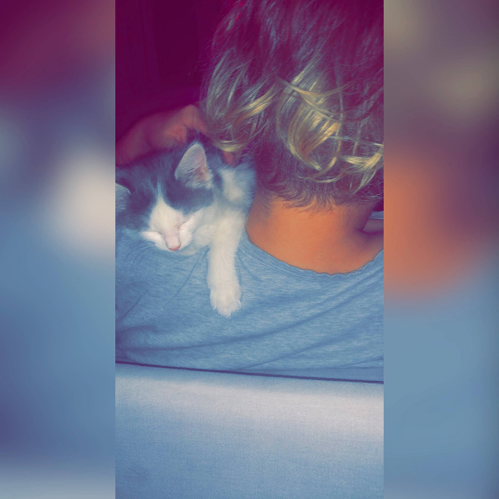 Haze participe au concours pour gagner de l'argent avec cette photo : cat, cheek, cloud, ear, eye, felidae, hair, joint, kitten, neck, nose, photography, pink, portrait, shoulder, sky, small_to_medium_sized_cats, square, whiskers