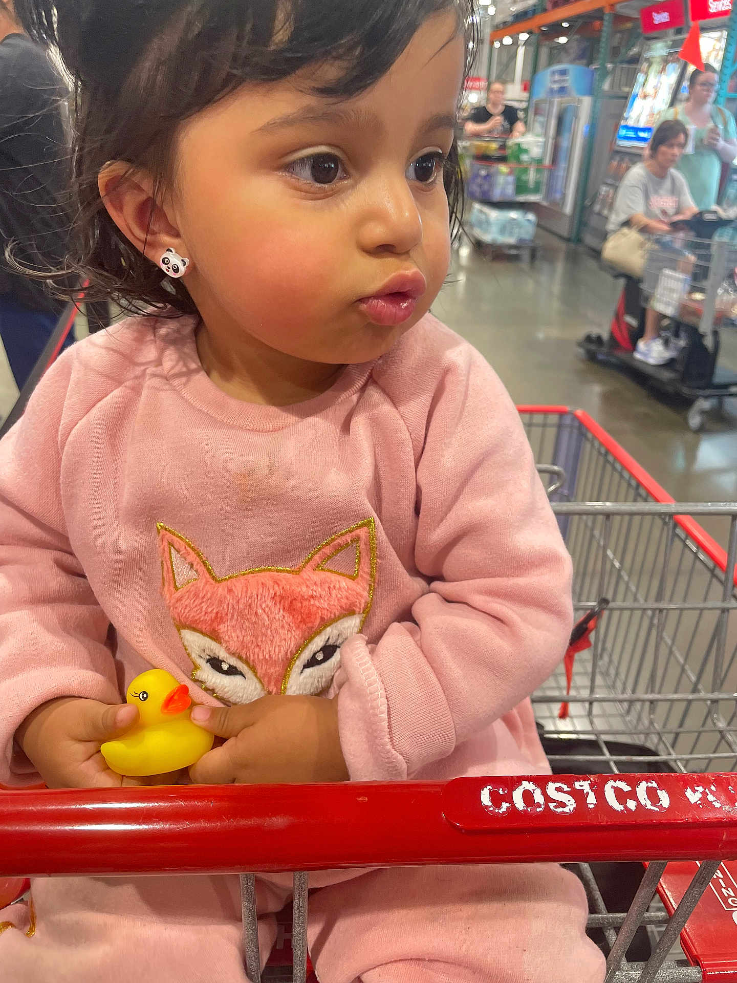 Lilyain joined the competition — help win amazing prizes! child, clothing, costco, curious, cute, expression, fox_design, holding, indoor, panda_earrings, people, pink_sweater, portrait, retail, shopping, shopping_cart, store, supermarket, toddler, yellow_rubber_duck
