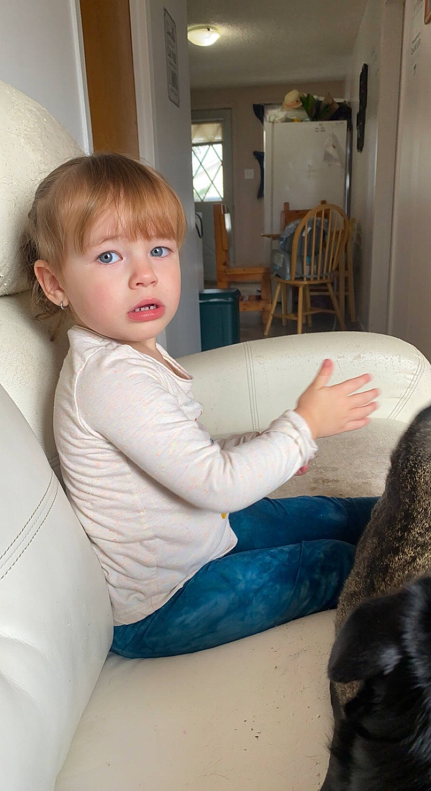 Pénéloppe a rejoint le concours — aidez-le/la à gagner de superbes lots ! arm, chair, comfort, elbow, felidae, flooring, fun, human_leg, joint, lap, leg, mammal, person, room, shoulder, sitting, skin, standing, thigh, toddler