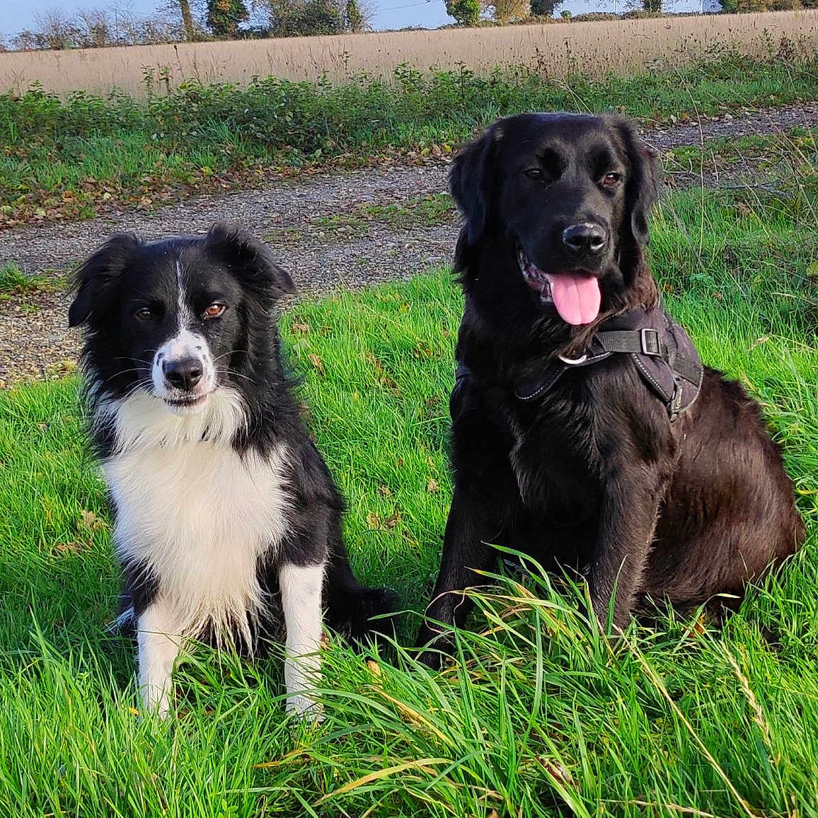 Pepsy Et Thelma