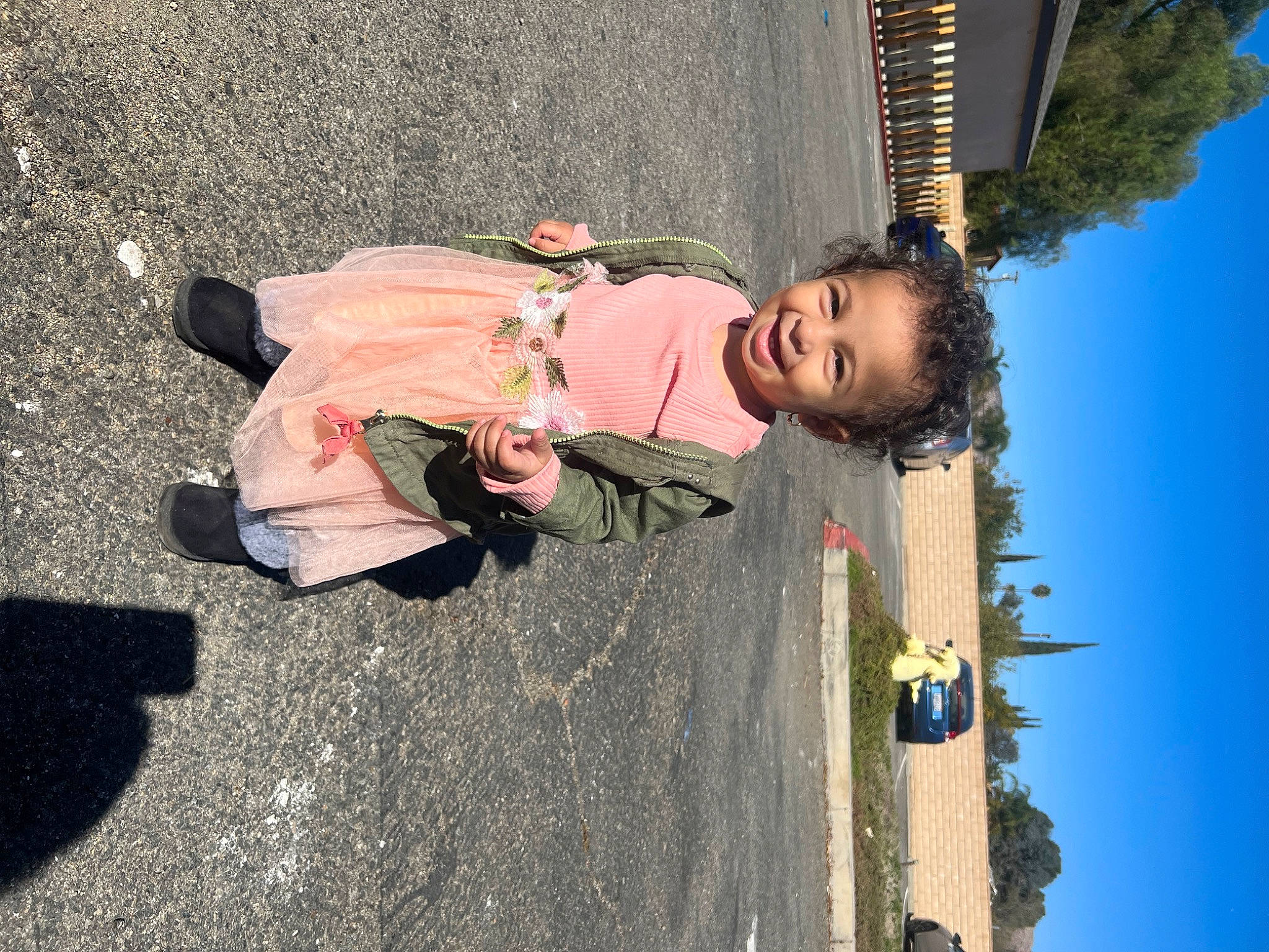 Ayla joined the competition — help win amazing prizes! adaptation, asphalt, beauty, child, concrete, fun, happy, leaf, leisure, line, people_in_nature, person, plant, road_surface, shadow, sidewalk, sky, toddler, travel, tree