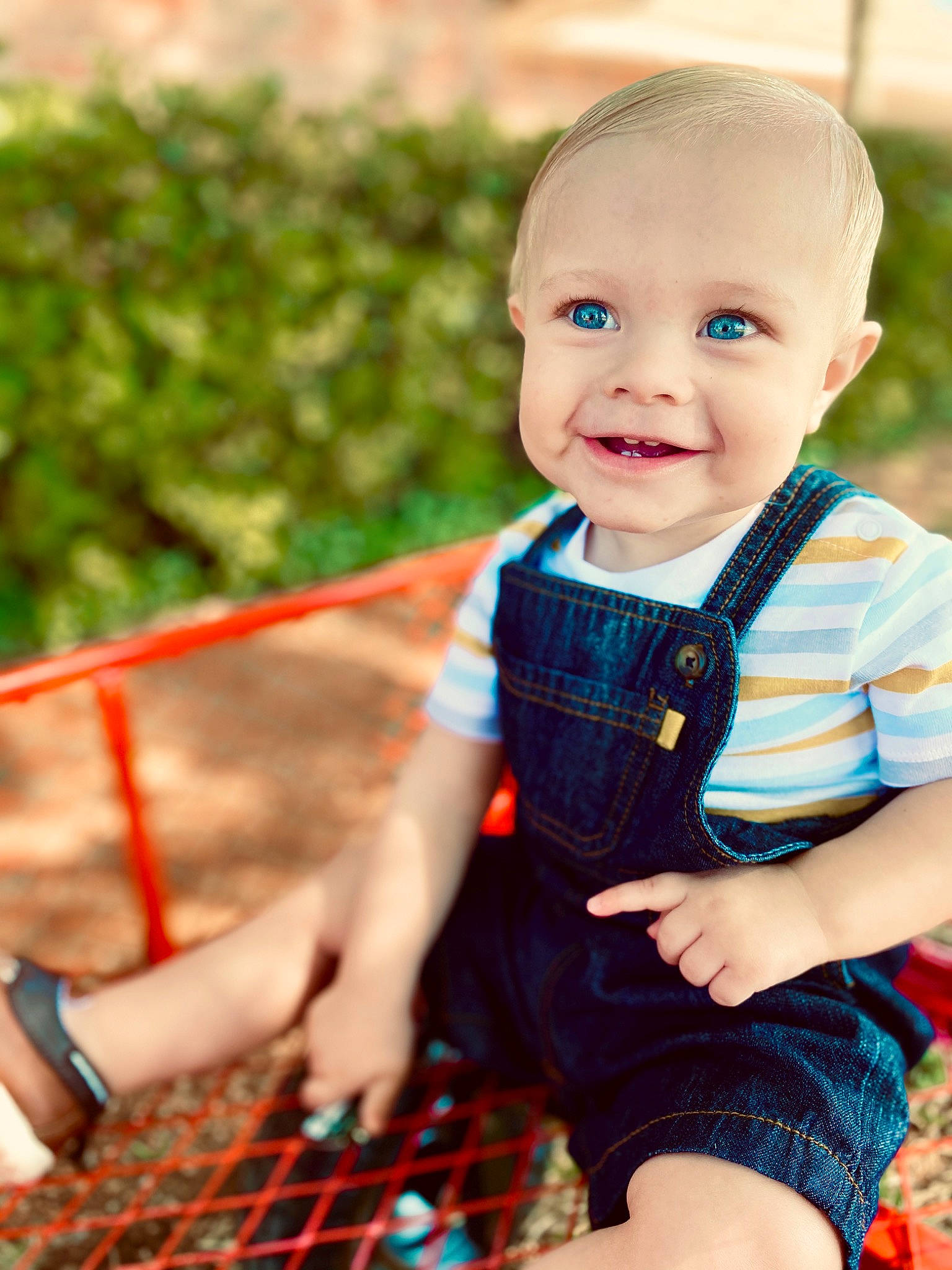 Kason is registered to the contest to win money with this photo: baby, child, child_model, design, facial_expression, fun, happy, joy, leaf, pattern, people, person, photograph, photography, plaid, play, sitting, smile, tartan, textile