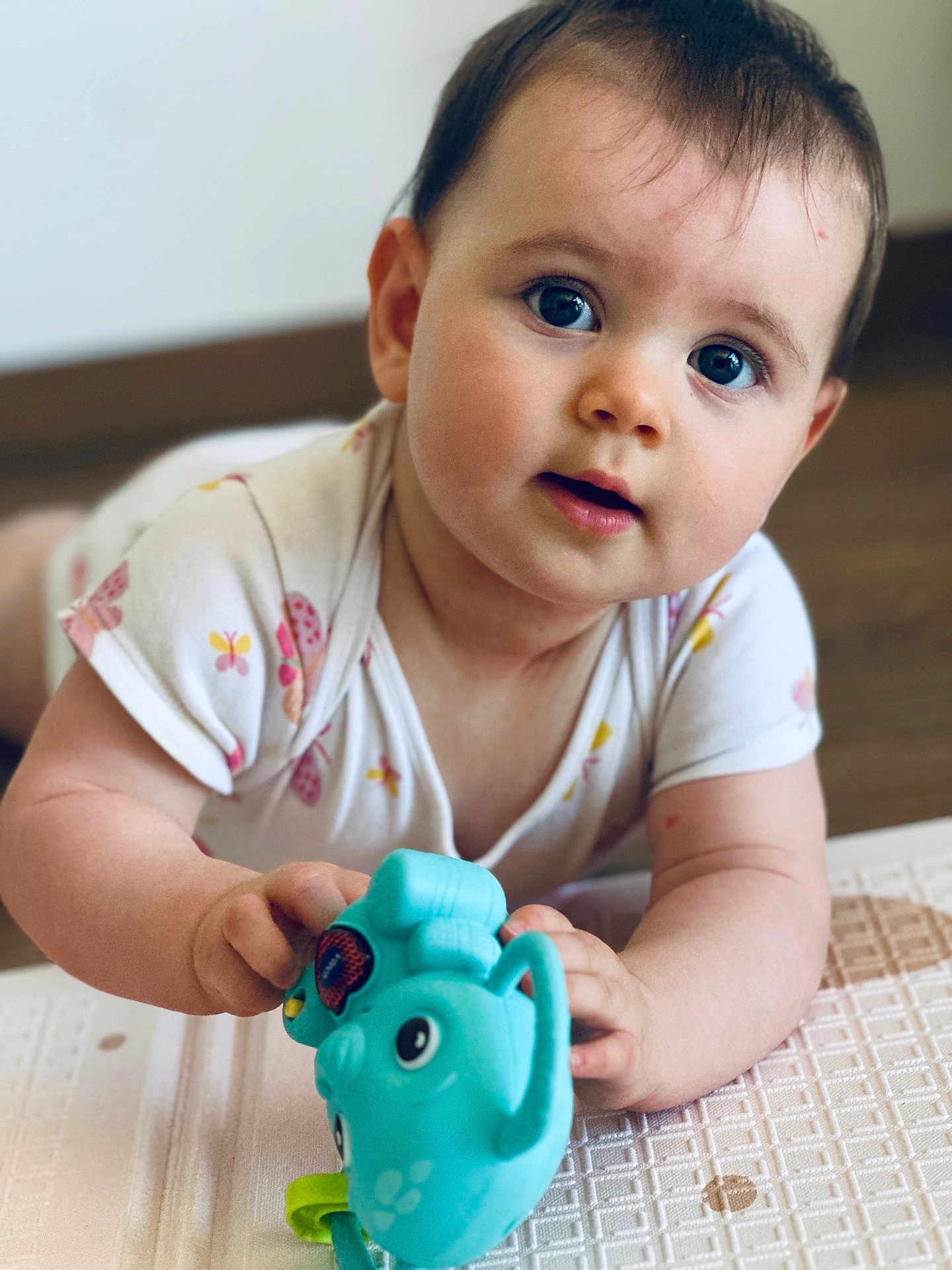Romy a rejoint le concours — aidez-le/la à gagner de superbes lots ! baby, child, toy, blue_toy, elephant_toy, floor, infant, cute, curious, lying_down, white_clothing, butterfly_pattern, hand, face, big_eyes, indoor, wooden_floor, young_child, person, portrait