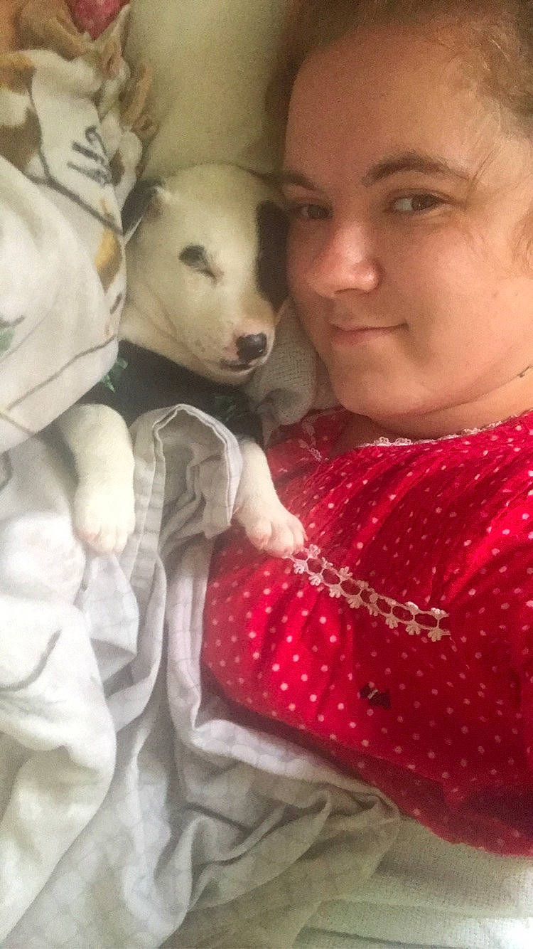 Lily joined the competition — help win amazing prizes! canidae, carnivore, child, companion_dog, dog_breed, nose, puppy_love, selfie