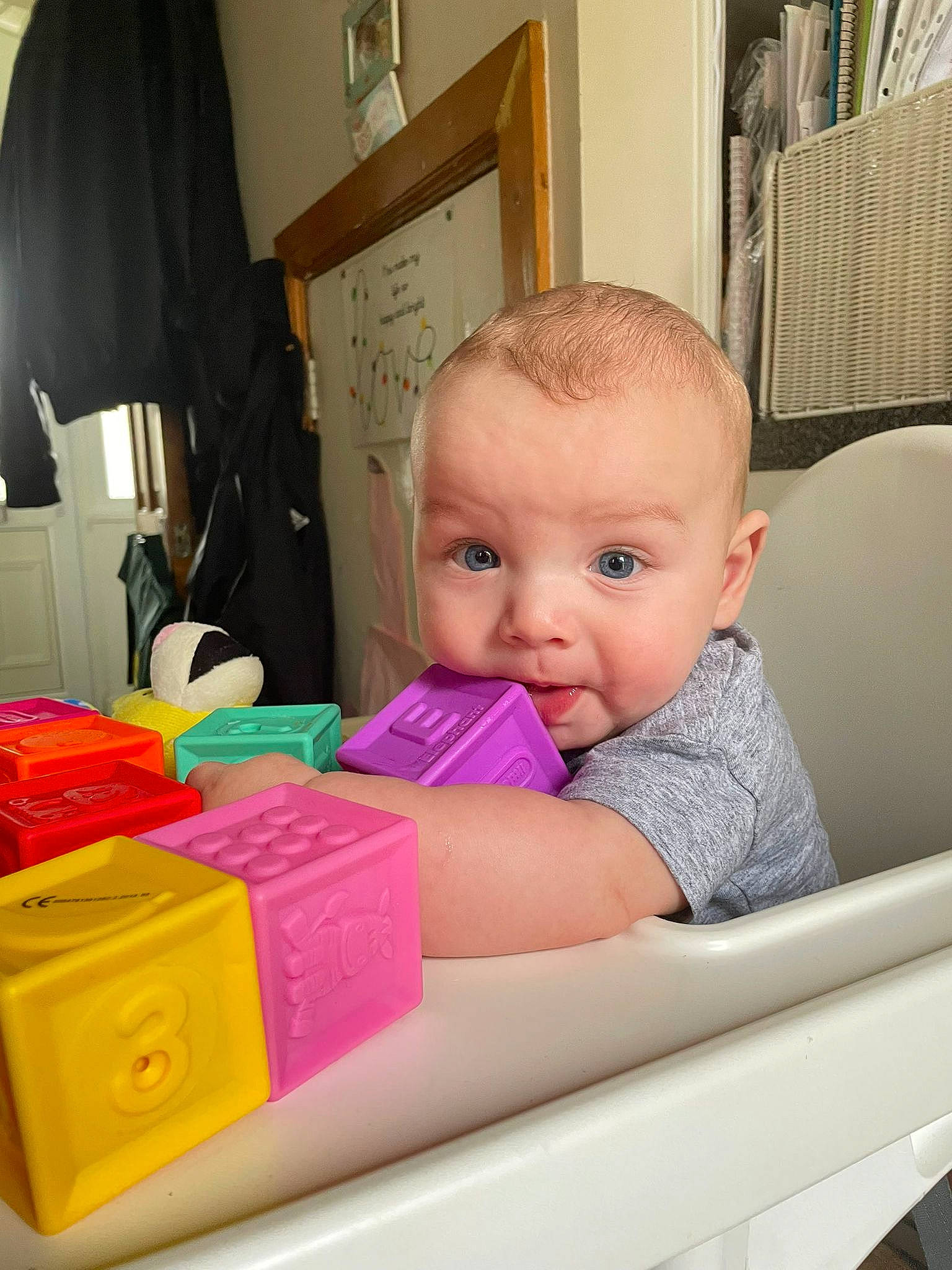 Huxley is registered to the contest to win money with this photo: baby, baby_products, baby_toddler_clothing, box, car_seat, chair, child, comfort, curtain, fun, magenta, person, plastic, product, room, shelf, sitting, toddler, travel