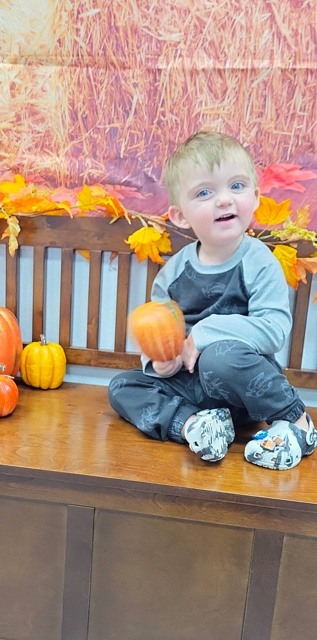 John is registered to the contest to win money with this photo: baby_toddler_clothing, calabaza, cucurbita, eye, fun, gourd, happy, natural_foods, orange, person, plant, pumpkin, smile, squash, t_shirt, toddler, vegetable, whole_food, winter_squash, wood