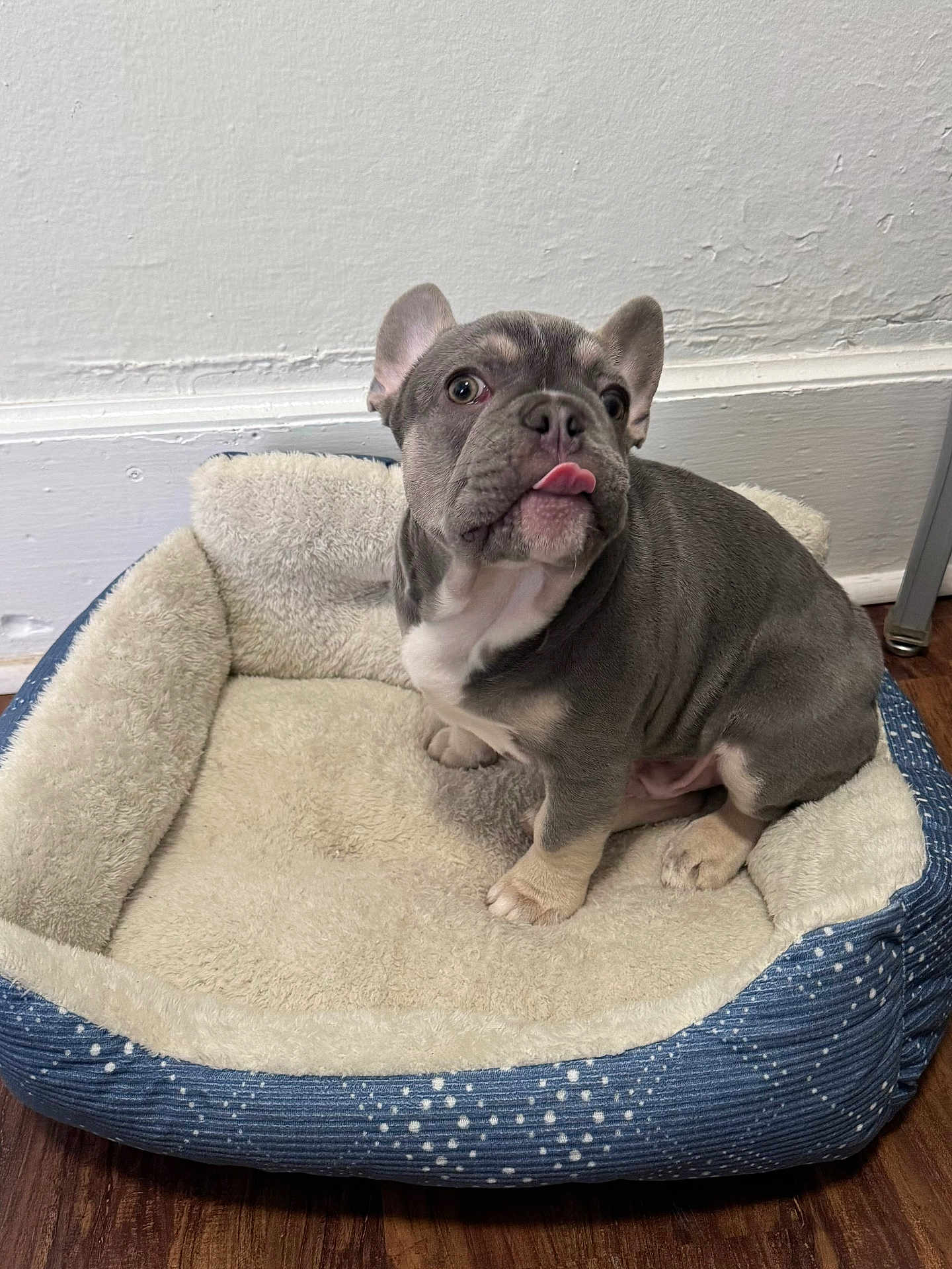 Blu