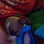 animal, blanket, blue_cloth, blurry, close_up, clothing, dim_lighting, dog, ear, face, fur, human, indoor, pet, puppy, red_shirt, resting, sleeping, snuggling, text_on_shirt