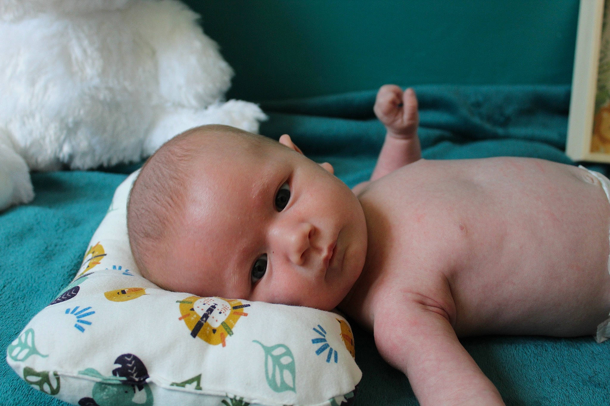 Horace a rejoint le concours — aidez-le/la à gagner de superbes lots ! abdomen, baby, baby_products, baby_toddler_clothing, bedtime, cheek, chest, child, comfort, event, eyelash, finger, grass, happy, linens, mammal, nose, person, room, skin