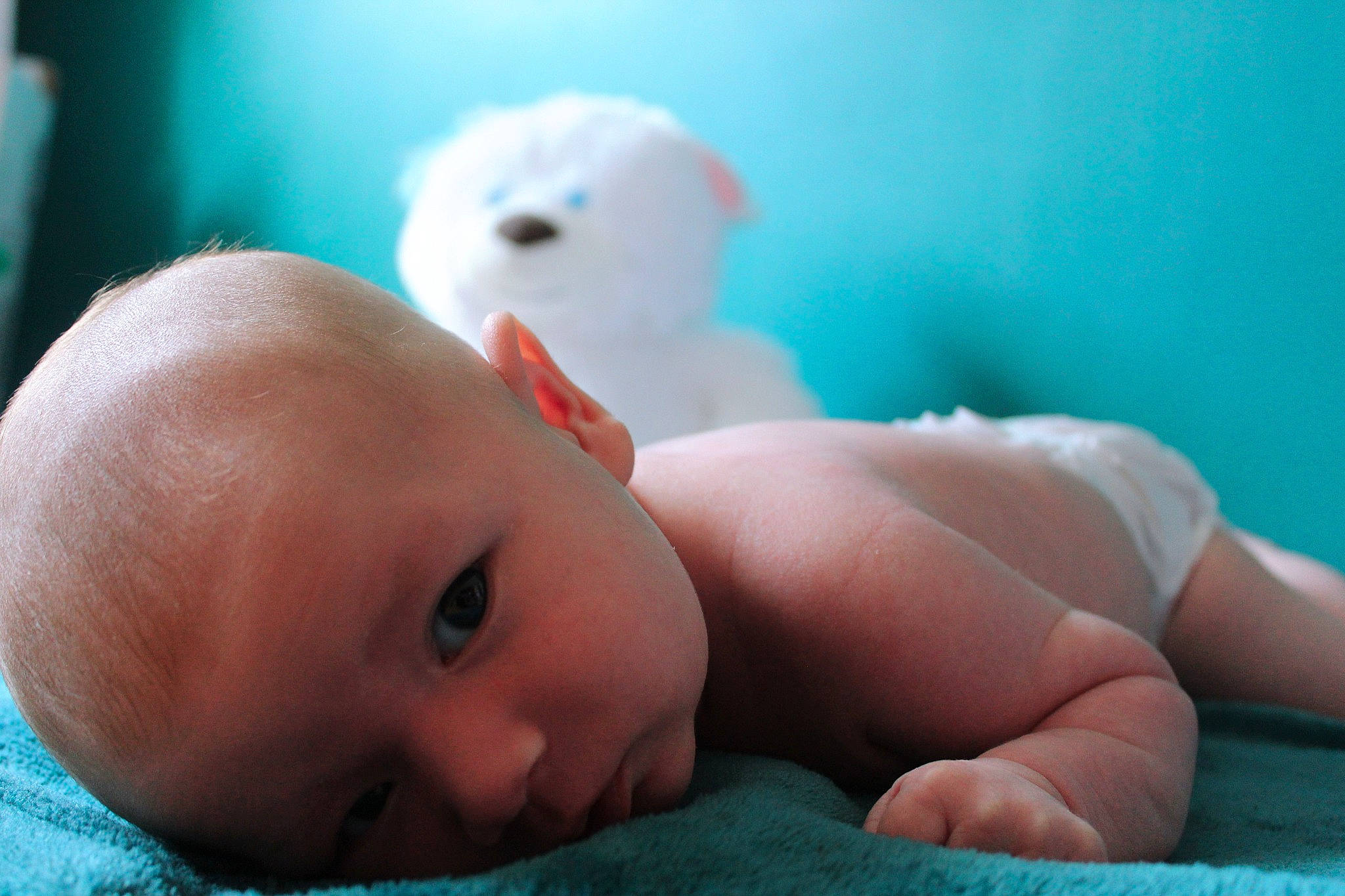 Horace a rejoint le concours — aidez-le/la à gagner de superbes lots ! azure, baby, baby_sleeping, blue, cheek, child, comfort, eye, happy, human_body, lip, mouth, nose, organ, person, photograph, pink, skin, smile, toddler