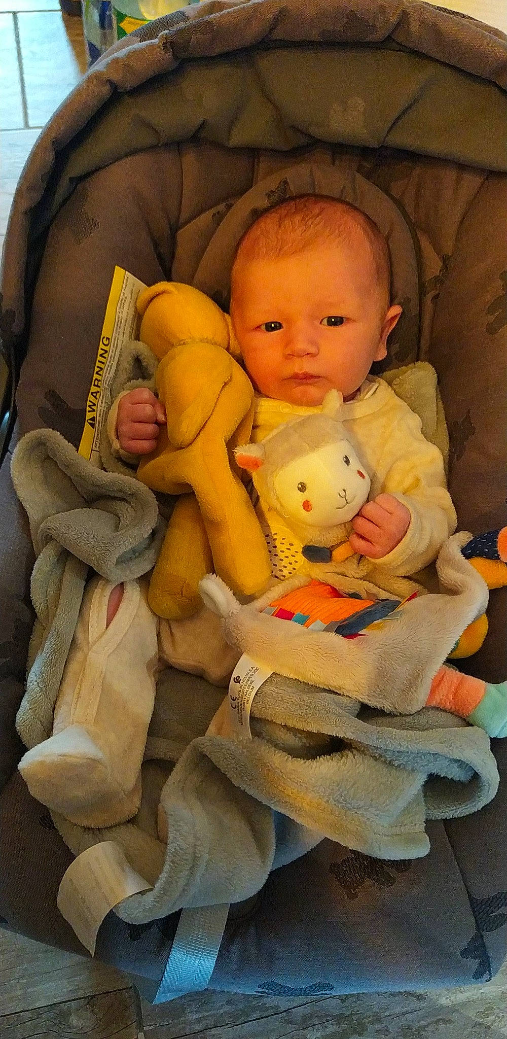 Horace participe au concours pour gagner de l'argent avec cette photo : arm, baby, baby_carriage, baby_products, baby_sleeping, bedtime, cheek, child, comfort, doll, finger, hand, head, human_body, lap, person, sitting, skin, stuffed_toy, textile