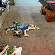 Harper June joined the competition — help win amazing prizes! dog, carpet, blanket, toy, slippers, couch, table, floor, indoor, sweater, pet, resting, furniture, wood, pattern, colorful, holiday, cozy, relaxed, living_room